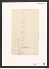 Navicula sp. (de-Toni-Nr.: Genus 1) Zeichnungen Sammlung Grunow (NHMW-BOT-W0368335)